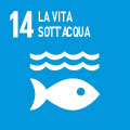 La vita sott'acqua