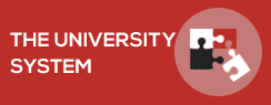 The University system