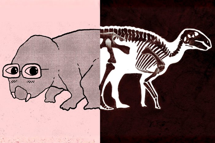 A graphic featuring a depiction of a dinosaur skeleton and an illustration of it