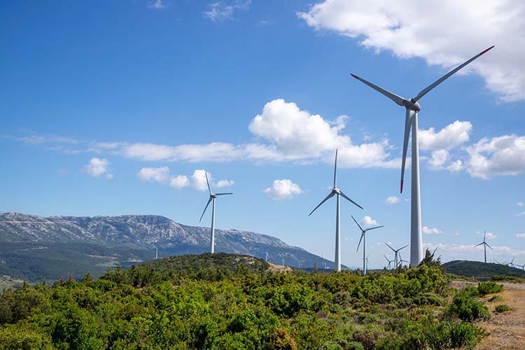 Landscape with wind turbines