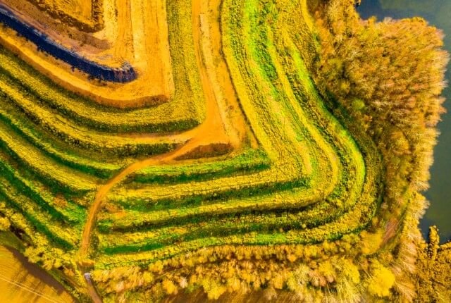 Rural landscape