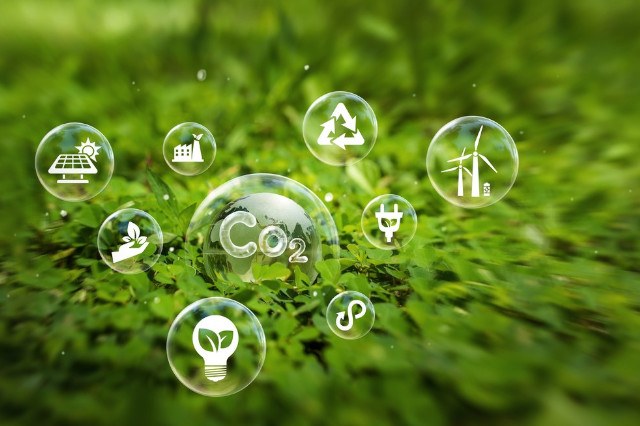 The image illustrates the concepts of environmental sustainability and ecological transition.