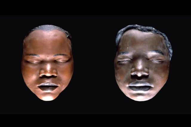 Pieces of Anthropological Collection