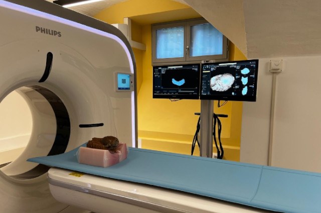 The  Anatomy Centre of the University of Bologna