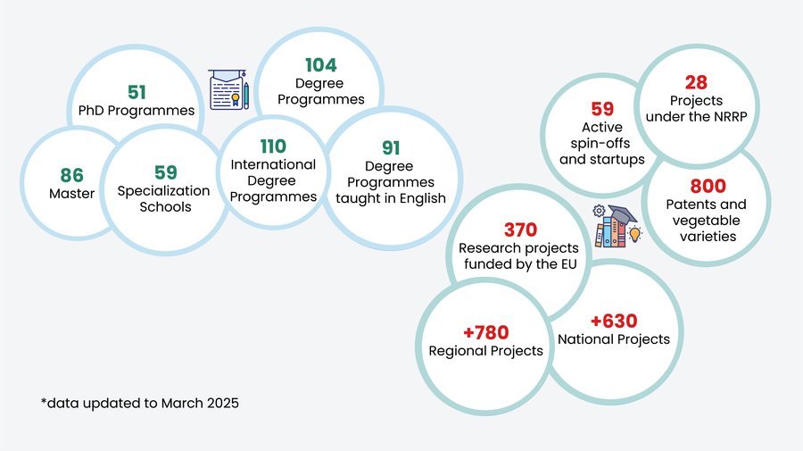 Infographic with numbers on programme catalogue and projects