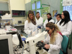 Department of Biological, Geological, and Environmental Sciences (BiGeA) laboratories