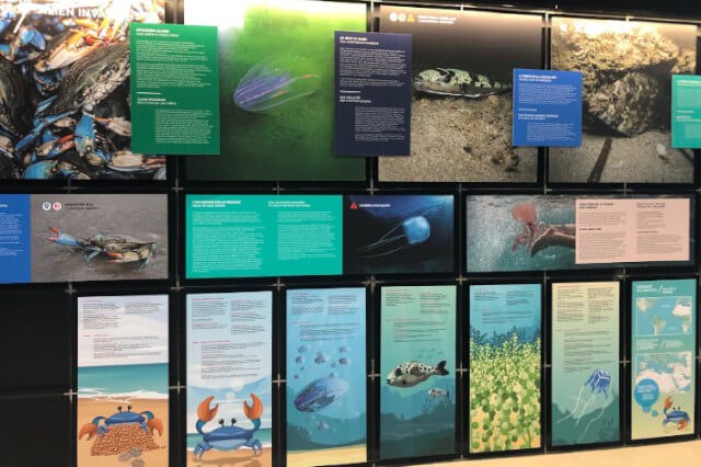 Exhibition at the Fano Marine Center