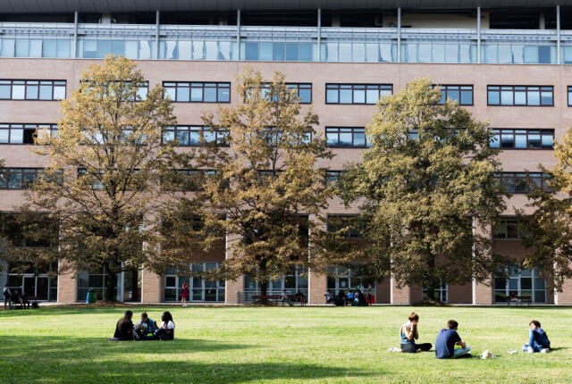 Garden in a space of the university