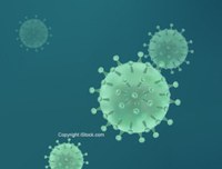 coronavirus coronavirus
