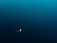 sailing race sailing race