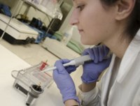 vesicles Study vesicles Study