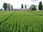 University of Bologna Experimental Farm - AUB