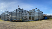 The Scarabelli greenhouse complex