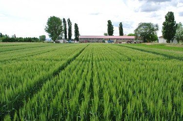 Azienda Agraria - Farm of the University of Bologna