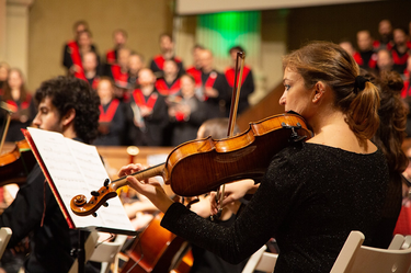 Christmas concert and presentation of the Botanical Garden redevelopment project