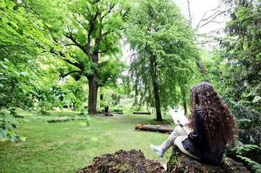 Studying outdoors