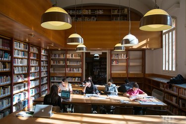 Studying in the library