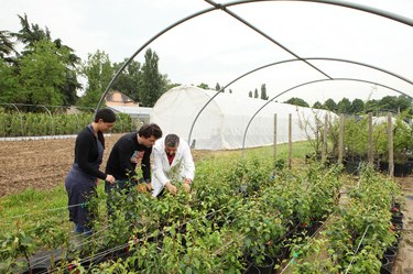 Cadriano Teaching Centre