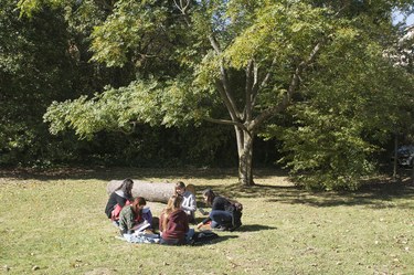 Studying outdoors