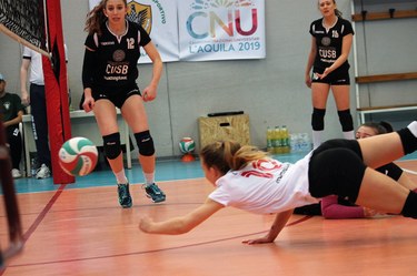 Female volleyball