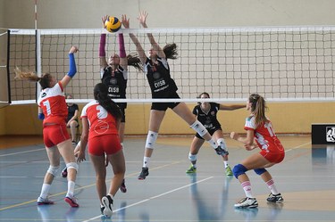 Female volleyball
