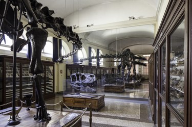 Collezione di geologia Museo Giovanni Capellini