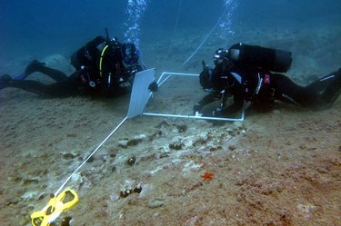 Attività di ricerca in ambiente marino