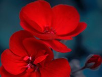 panchina rossa_small panchina rossa_small