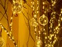 natale22