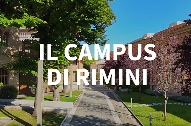 Cortile alberti dall'alto