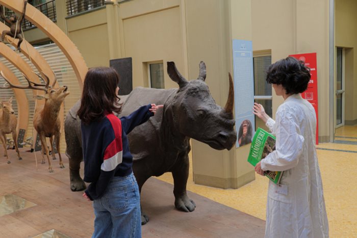 due persone di spalle davanti ad un rinoceronte tassidermizzato