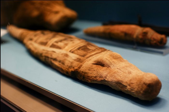 mummia di coccodrillo da Tebtynis