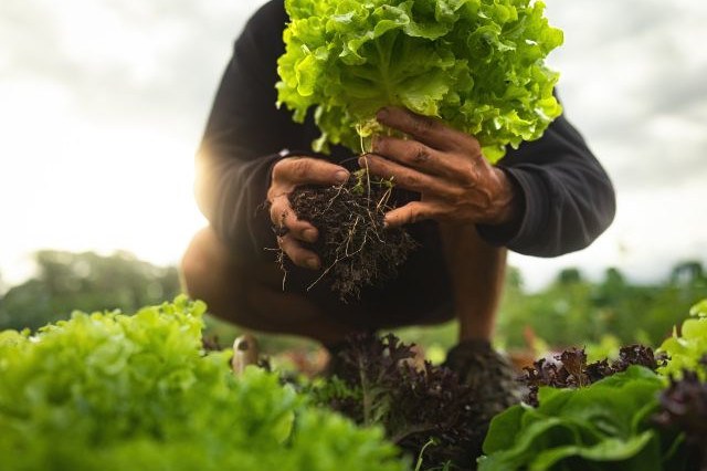 Agricoltore al lavoro
