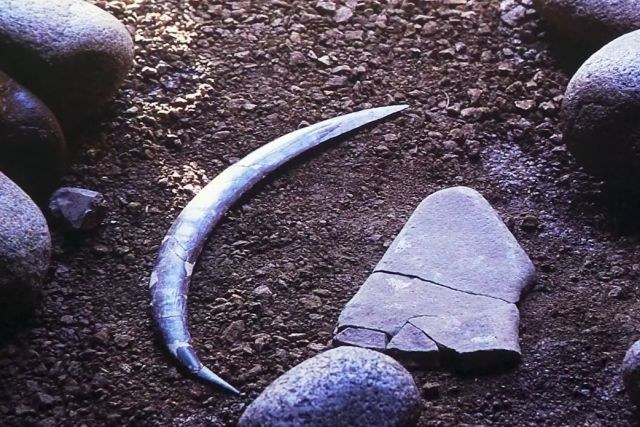 Il boomerang ritrovato ritrovato nella grotta di Obłazowa