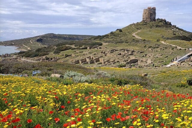 La città di Tharros vista dagli scavi dell’Alma Mater, attualmente in corso (