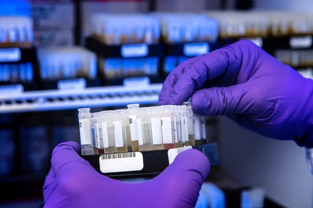 Mani di un ricercatore in laboratorio