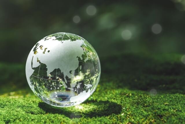 Sfera di vetro trasparente a forma di globo terrestre poggiata su un tappeto di muschio verde