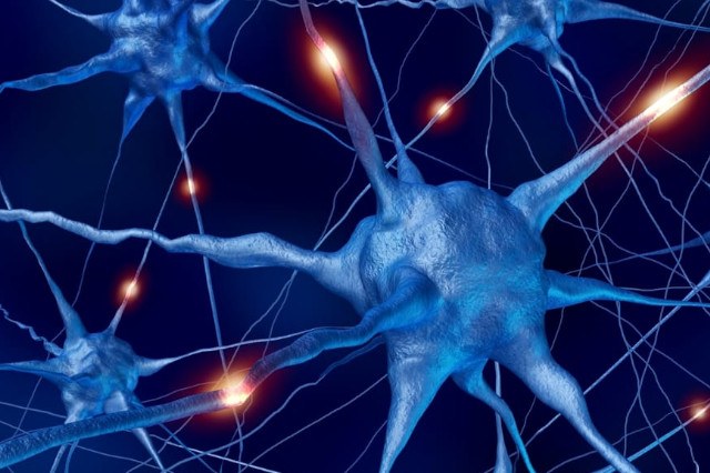 Rappresentazione grafica di neuroni nel cervello