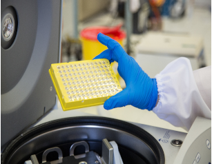 Foto laboratorio RNA per IR BBRMI PNRR_307x238