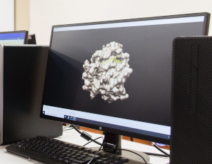 Dettaglio laboratorio bioinformatico
