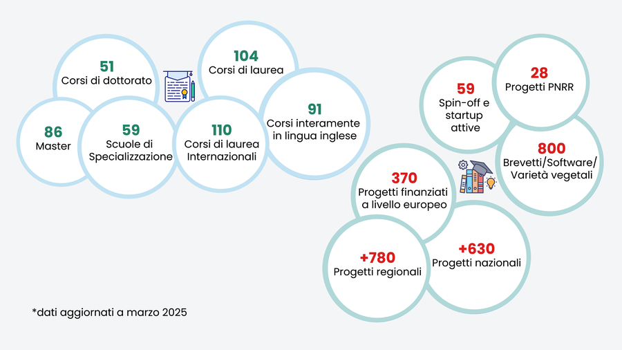 Infografica con i numeri su offerta formativa e progetti