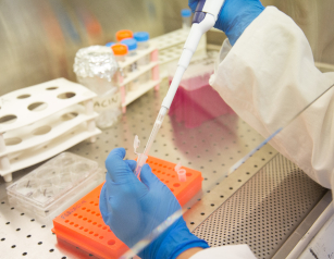 Mani in laboratorio Heal Italia PNRR