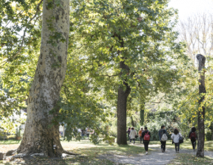 persone che camminano in un parco