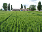 Azienda Agraria