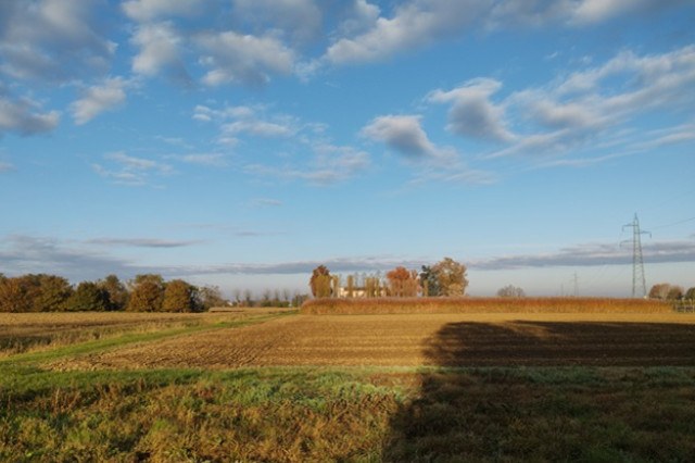 Paesaggio rurale