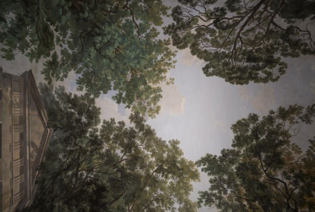 Sala della Boschereccia di Palazzo Hercolani (Foto: Antonio Cesari)