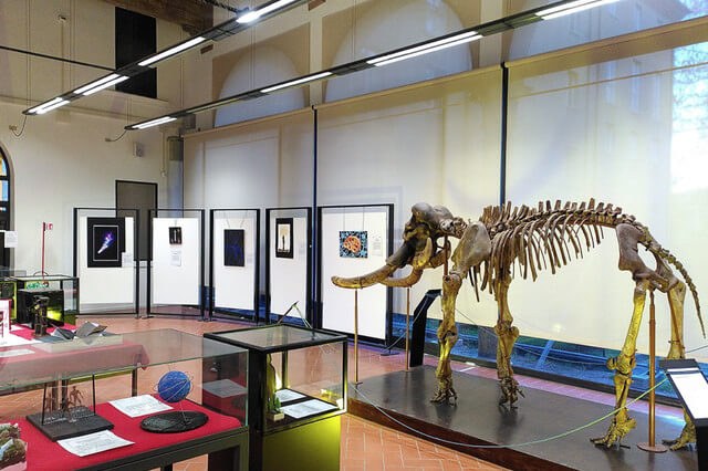 Una sala del Sistema Museale di Ateneo