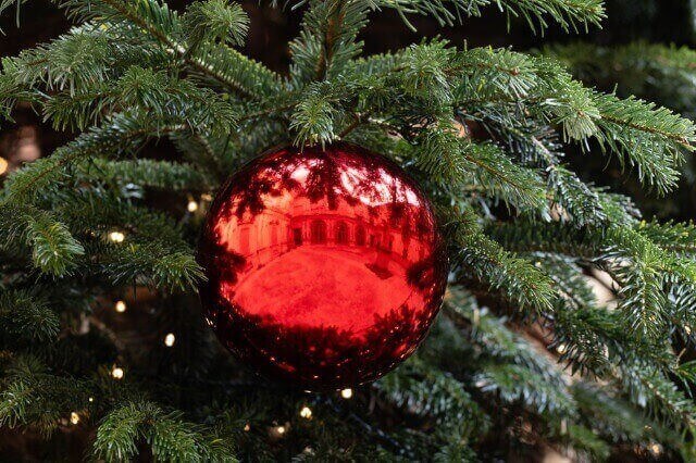 Dettaglio di una decorazione su un albero di Natale