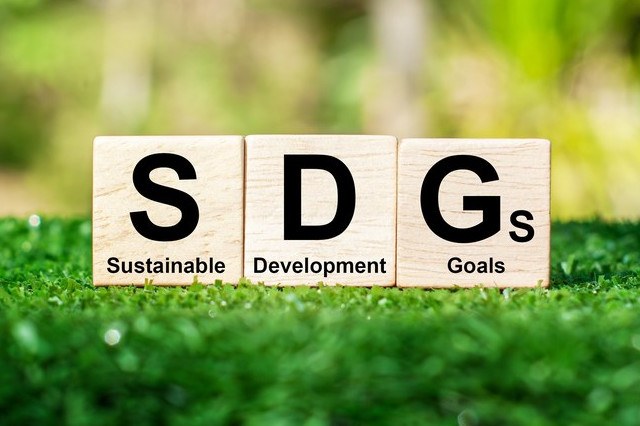 Tre cubi di legno appoggiati sull’erba verde formano la sigla "SDGs"