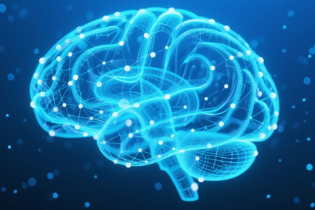 Raffigurazione digitale e stilizzata di un cervello umano.
